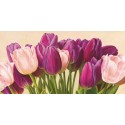 Lienzos de Flores