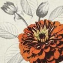 Cuadros Flores Vintage